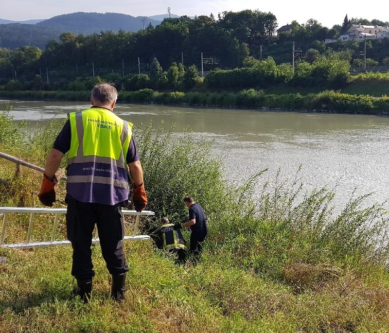 Tierrettung – 2 Hunde gerettet (Bild 3)